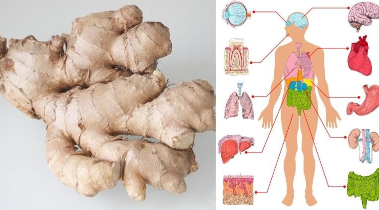 This Is What Happens To Your Body If You Eat Ginger Every Day For A Month