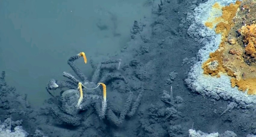 Methane lake bottom of gulf something Opinion methane lake bottom of gulf apologise, but