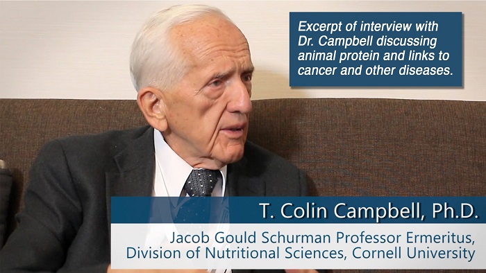 What does Dr. T. Colin Campbell think of the Paleo diet?