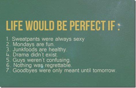 Life Would Be Perfect If …