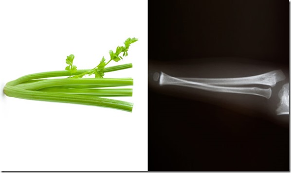 Celery - Bone