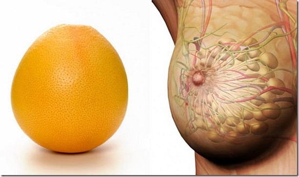 The Breasts and Grapefruit