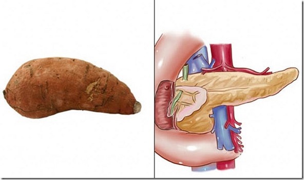 The Pancreas and Sweet Potatoes