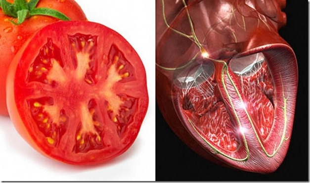 Tomatoes The heart