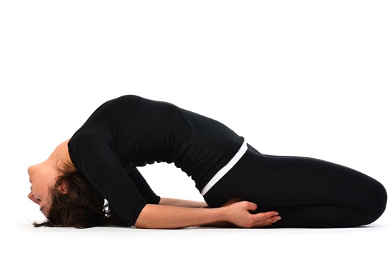 Fish-Pose-Matsyasana