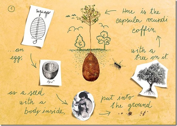 biodegradable-burial-pod-memory-forest-capsula-mundi-3-Optimized