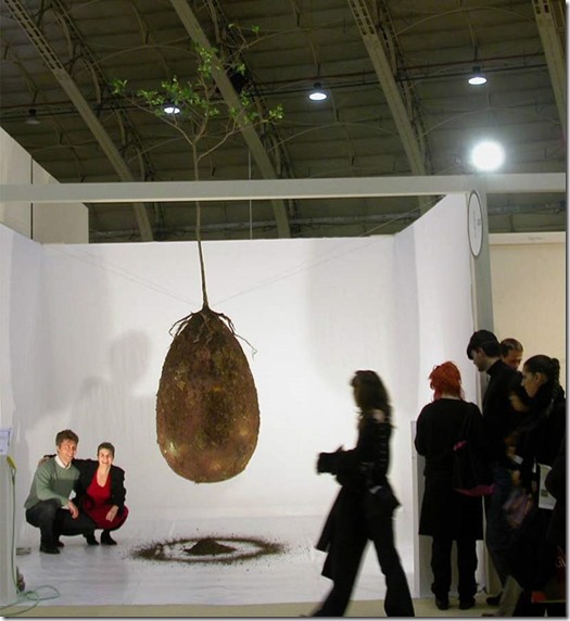 biodegradable-burial-pod-memory-forest-capsula-mundi-4-Optimized