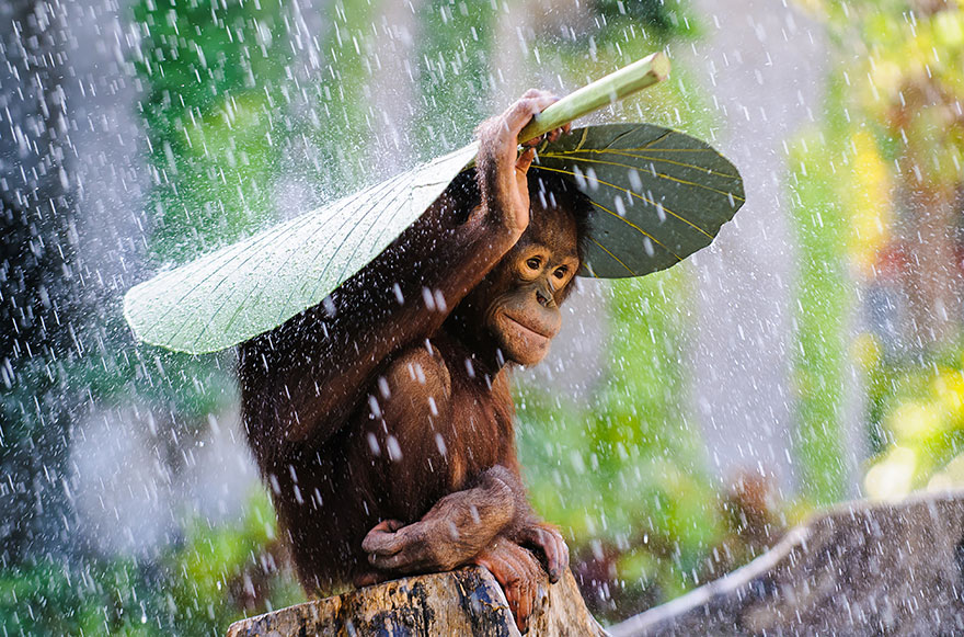 15 Of The Best Photographs From The 2015 Sony World Photography Awards