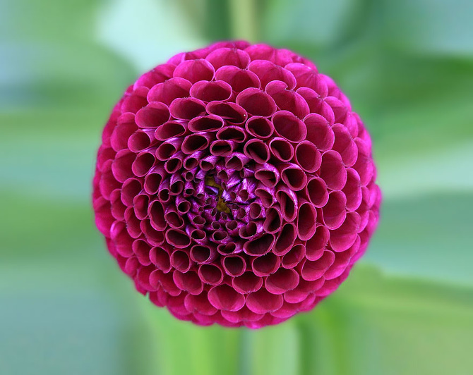 25 Stunning Photographs Of Sacred Geometry In Nature