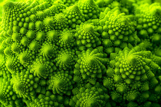 25 Stunning Photographs Of Sacred Geometry In Nature