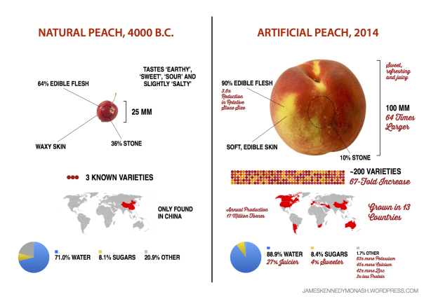 Artifical vs Natural Peach