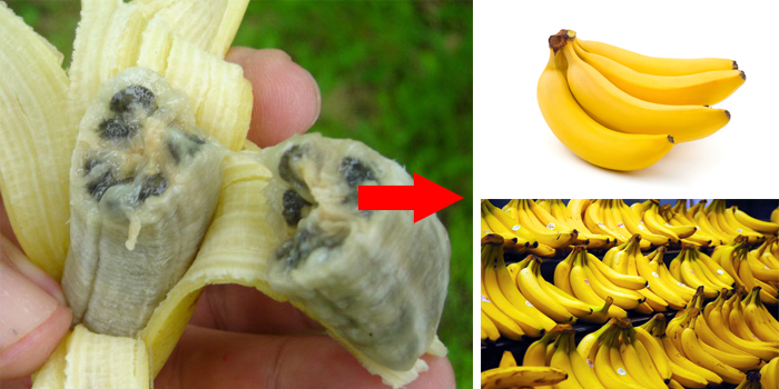 Bananas Before and Now