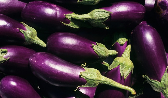 Eggplant Today