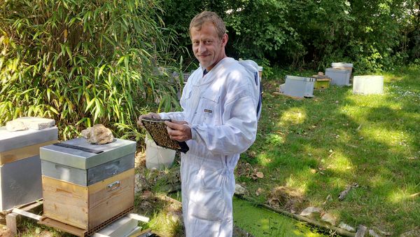 Nicolas Trainerbees, the Beekeeper That Has Managed to Get His Bees to Make Honey with Cannabis Resin