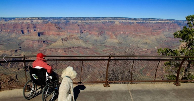 When 90-Year-Old Lady Passed On Chemo, She Looked At Her Doctor And Said “I’m Hitting The Road!"