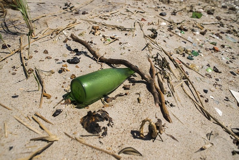 at-the-same-time-new-york-city-was-growing-and-churning-out-waste--a-lot-of-waste-barren-island-seemed-like-a-nice-far-away-place-to-dump-it-all