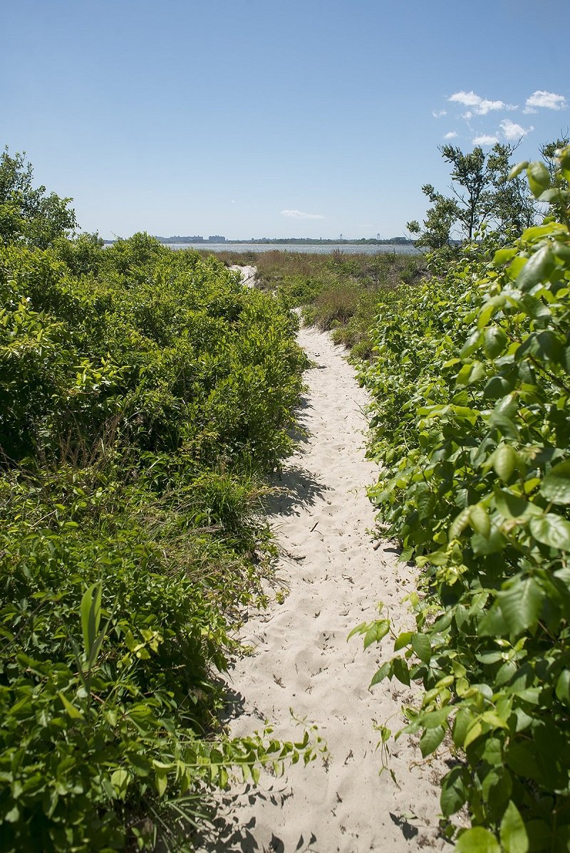 but-soon-the-grass-gives-way-to-sand-and-the-path-opens-up-onto-a-beach
