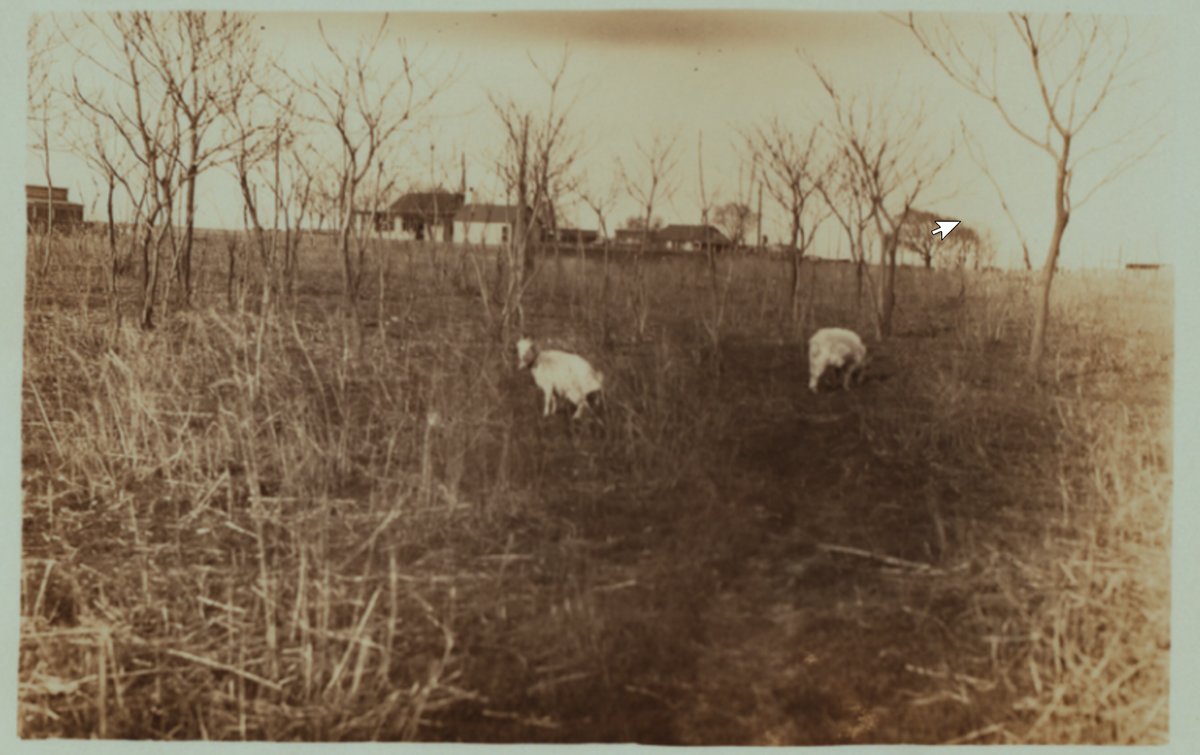 dead-horse-bays-transformation-into-a-modern-day-archaeological-dump-started-in-the-19th-century-barren-island-was-still-a-real-island-then-and-this-part-of-brooklyn-wa