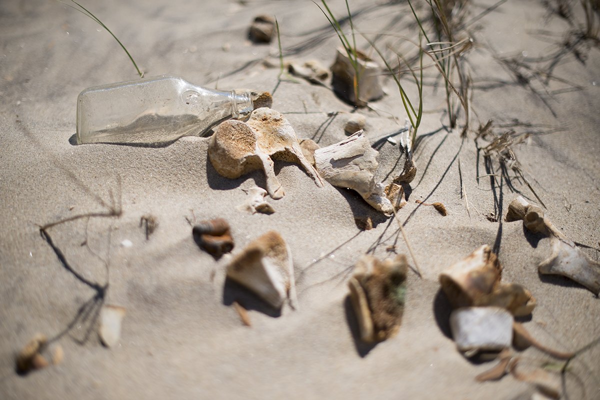 then-just-as-you-think-things-could-not-get-any-weirder-you-find-hunks-of-bone-poking-out-of-the-sand