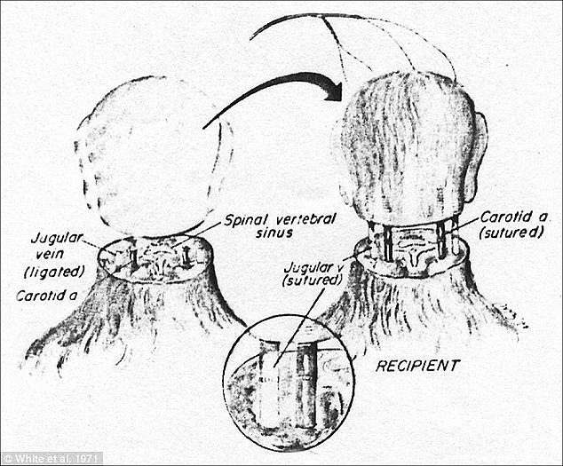 36D7643700000578-3721986-image-a-20_1470238509937