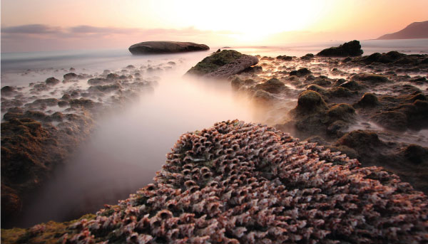 Spiritual-Places-Socotra-Archipelago