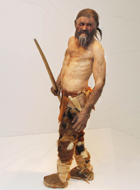 an-artists-impression-of-what-otzi-looked-like-before-he-died