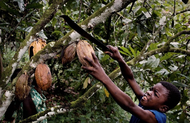 Children-and-chocolate-The-sweet-industry-s-bitter-side-1024x665