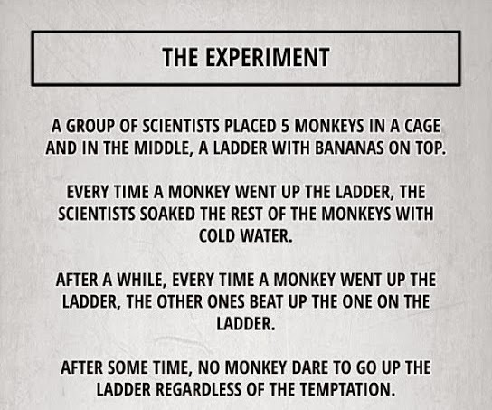 the-experiment