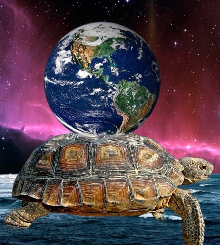 earth-turtle-920x1024