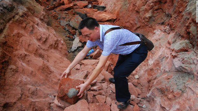 photos-fossilized-dinosaur-eggs-found-in-china