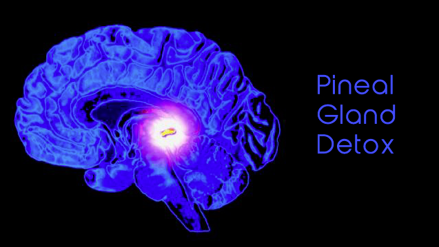 pineal-gland-detox-2